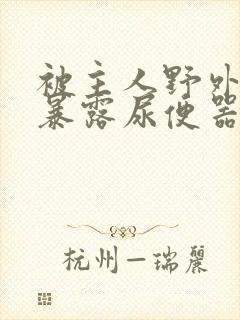 被主人野外调教暴露尿便器封面