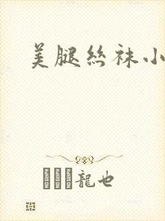 美腿丝袜小说