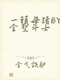 一头母猪BY黄金圣斗士