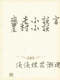 恋老小说言情网农村小说封面