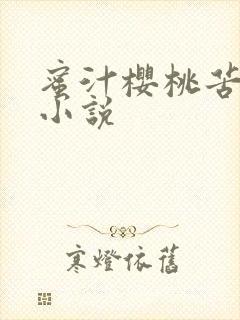蜜汁樱桃苦咖啡小说