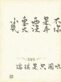 小东西是不是好几天没弄你了作文封面