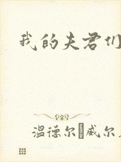 我的夫君们