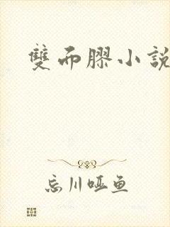 双面胶小说