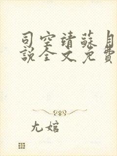 司空靖苏月汐小说全文免费阅读封面
