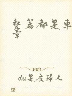 整篇都是车的文章