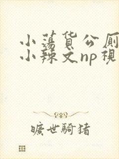 小荡货公厕h文小辣文np视频