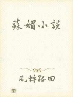 苏媚小说