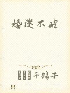 婚迷不醒封面