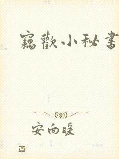 窃欢小秘书封面
