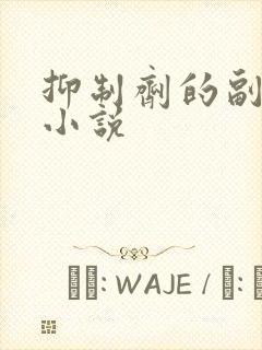 抑制剂的副作用小说封面