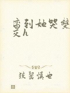 脔到她哭双根宫交h封面