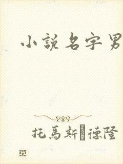 小说名字男生