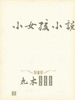 小女孩小说封面