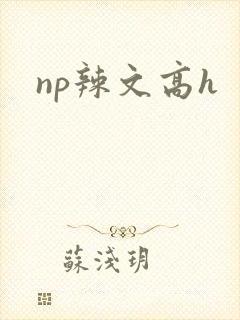 np辣文高h