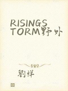 RISINGSTORM野外封面
