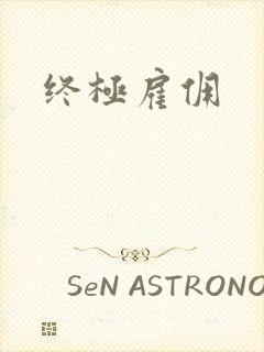 终极雇佣