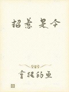 招惹 是今
