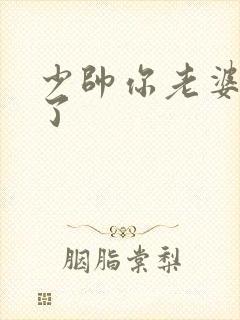 少帅你老婆又跑了封面
