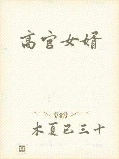 高官女婿