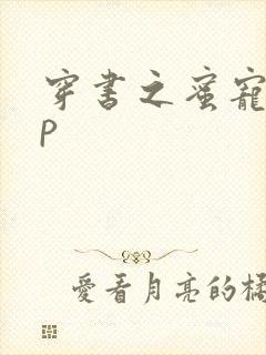 穿书之蜜宠hnp