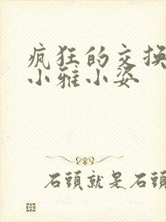 疯狂的交换小静小雅小姿封面