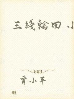 三线轮回 小说封面