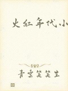 火红年代小说