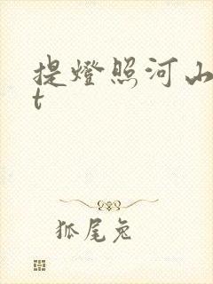 提灯照河山txt