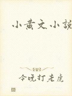 小黄文小说