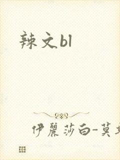 辣文bl封面