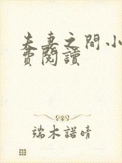 夫妻之间小说免费阅读封面