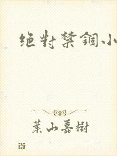 绝对禁锢小说