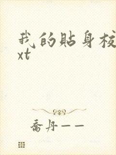 我的贴身校花txt封面