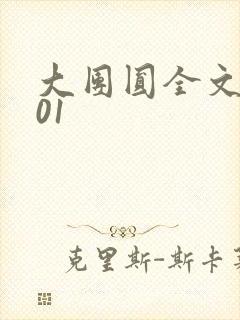 大团圆全文阅读01封面