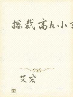 总裁高h小说封面