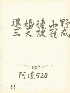 退婚后山野糙汉三天被宠成宝小说