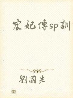 宸妃传sp训诫