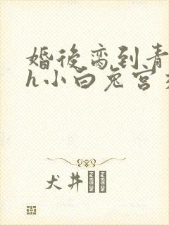 婚后脔到青梅哭h小白兔宫交h