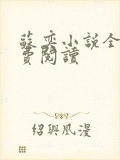 苏奕小说全文免费阅读
