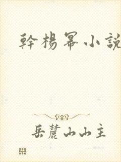 干杨幂小说