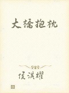 大桥抱枕