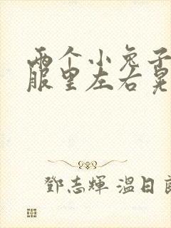 两个小兔子在衣服里左右晃
