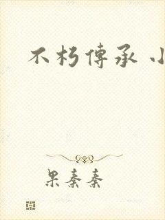 不朽传承 小说