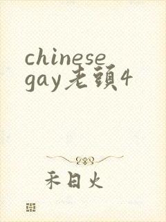 chinesegay老头4