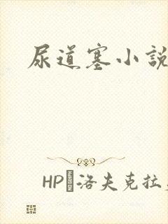 尿道塞小说