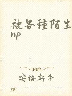 被各种陌生人 np