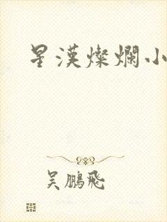 星汉灿烂小说