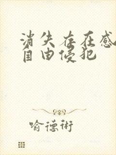 消失存在感消失自由侵犯封面