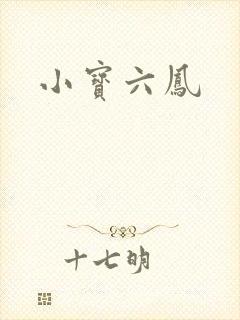 小宝六凤